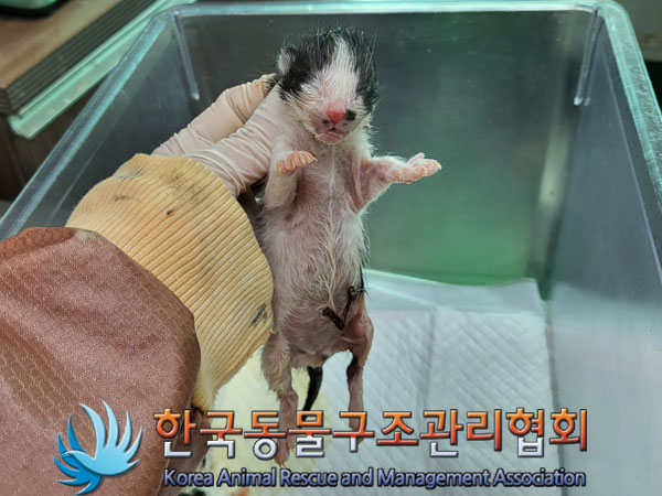 한국동물구조관리협회_411316202300459